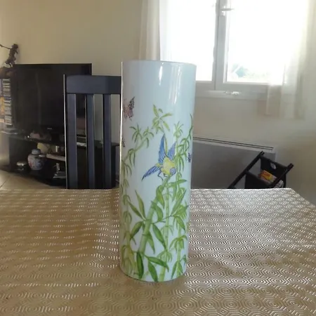 22 Place Saint-roch 芒通